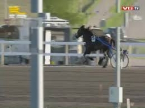 Նժույգը նետել է հեծյալին և բախվելով ուղեփակոցին՝ սատկել